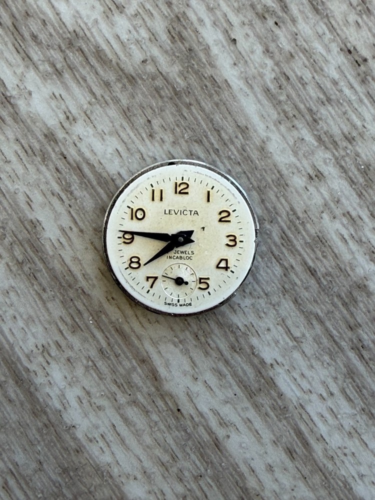 Levicta Watch Movement