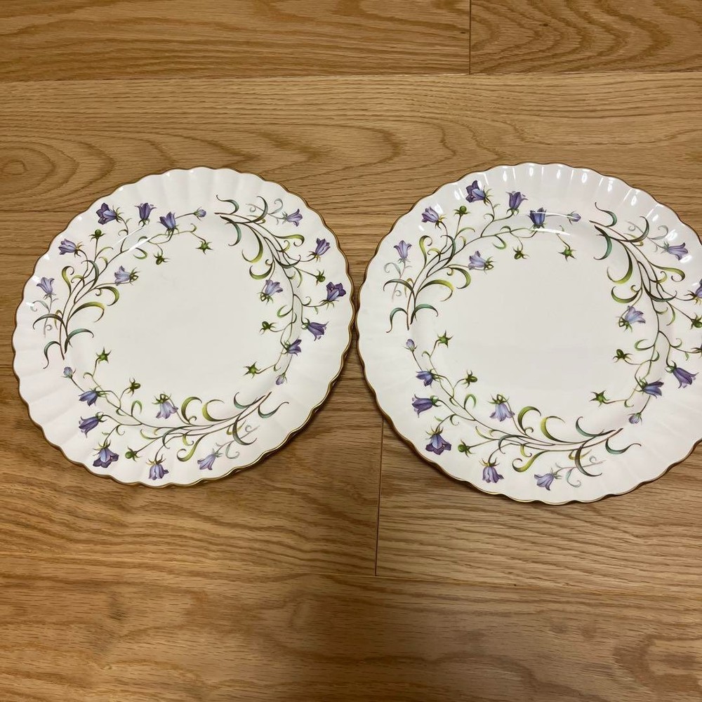 Spode Canterbury Plate 27cm Pair Set