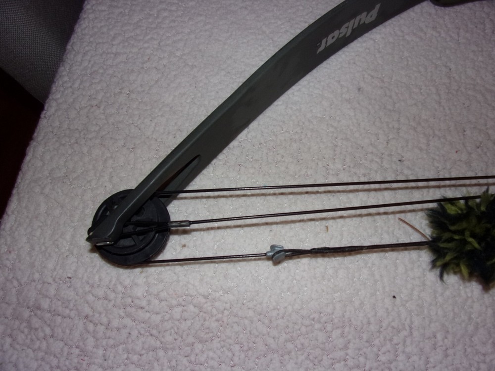 PSE Game Sport Pulsar Compound Bow