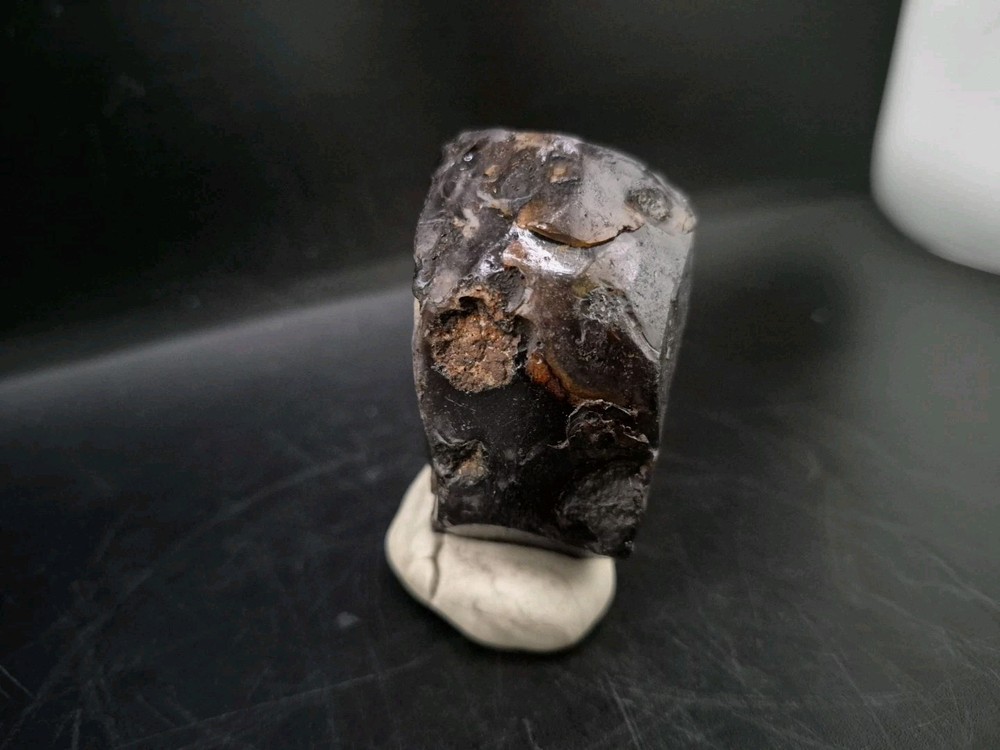 Real Fossil Dinosaur Egg Opalized