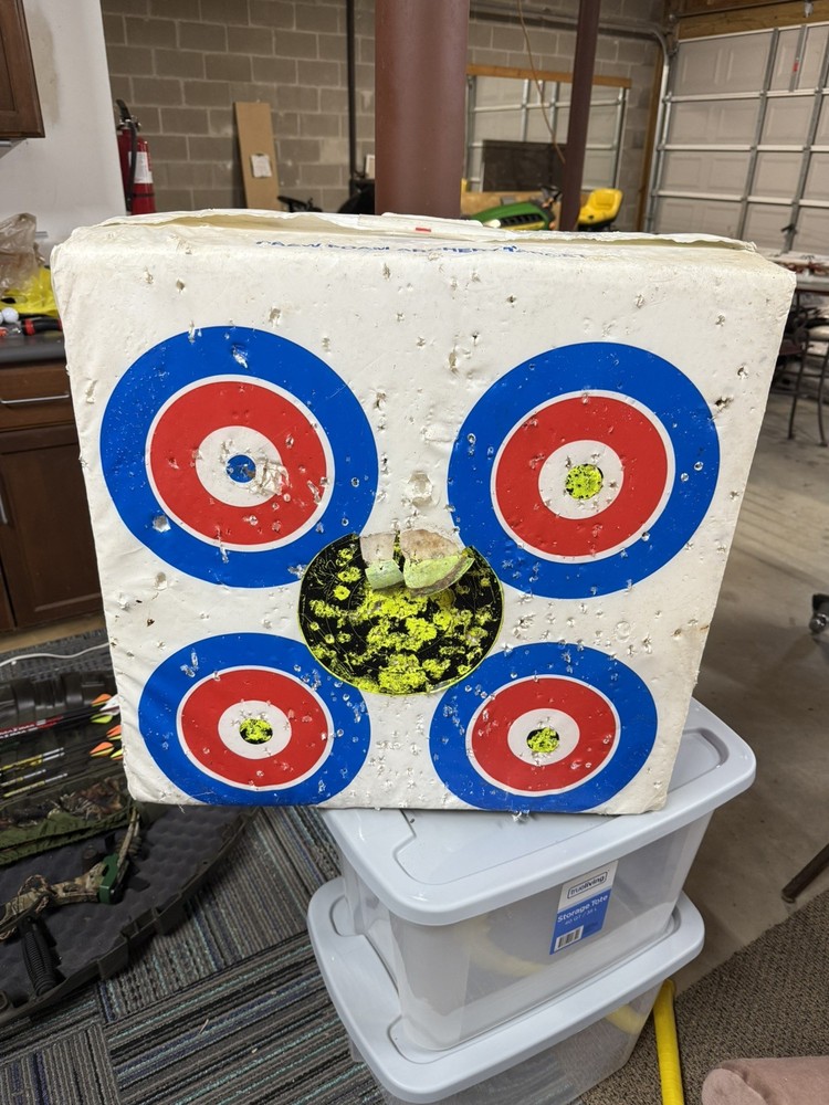 Bear Lights Out Compound Bow