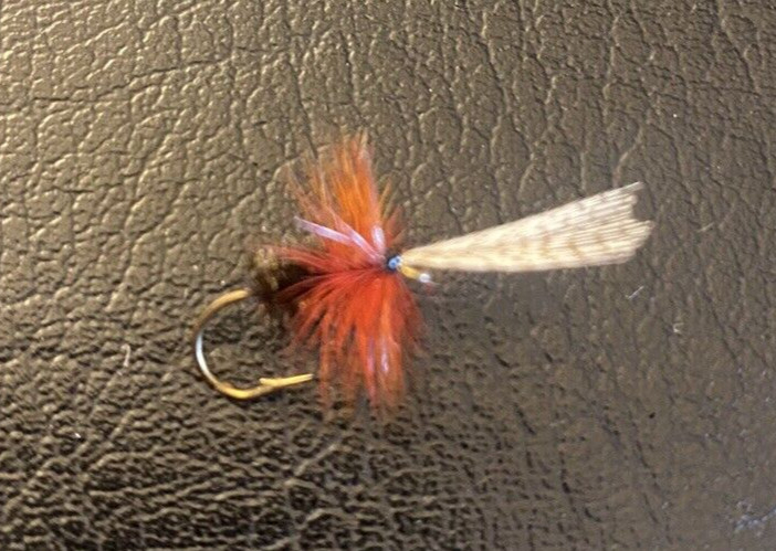 6 x John Storey Dry Fly #12.