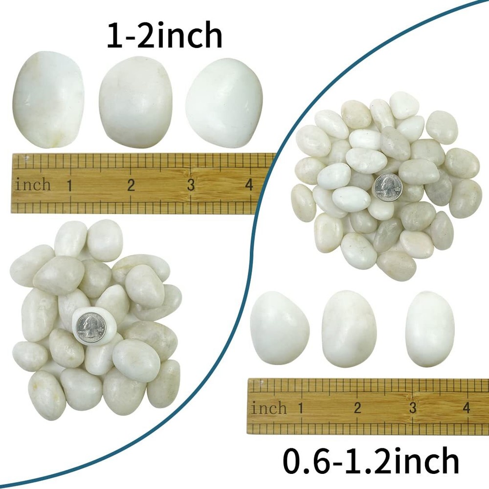 Natural Polished White Pebbles - Smooth White River Rocks for Plants