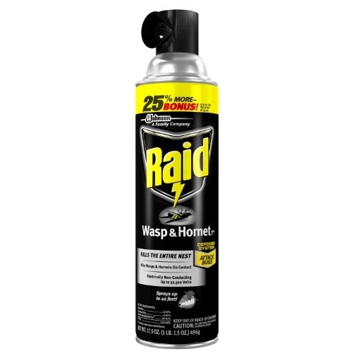Raid Wasp & Hornet Killer 17.5 Oz