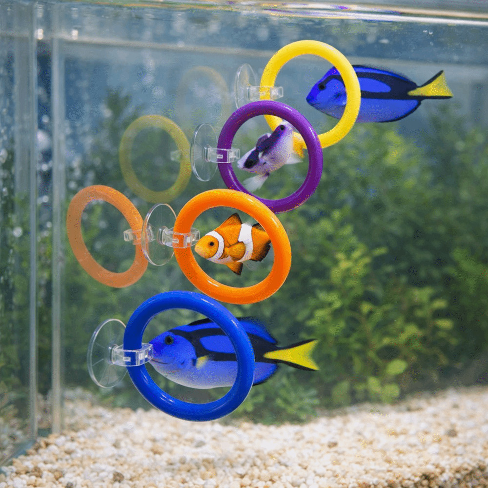 4PCS/SET Waterproof Fish Training Ring Betta Training Circle  Decorative Purpose