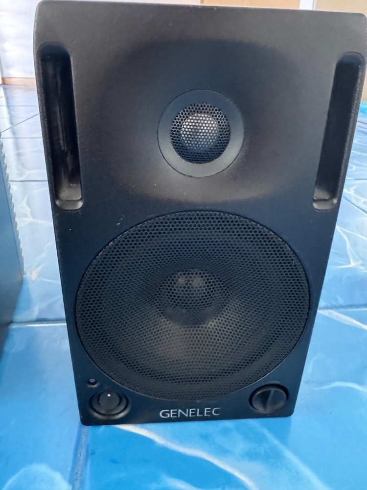Genelec 2029B studio monitors - Matched Pair!