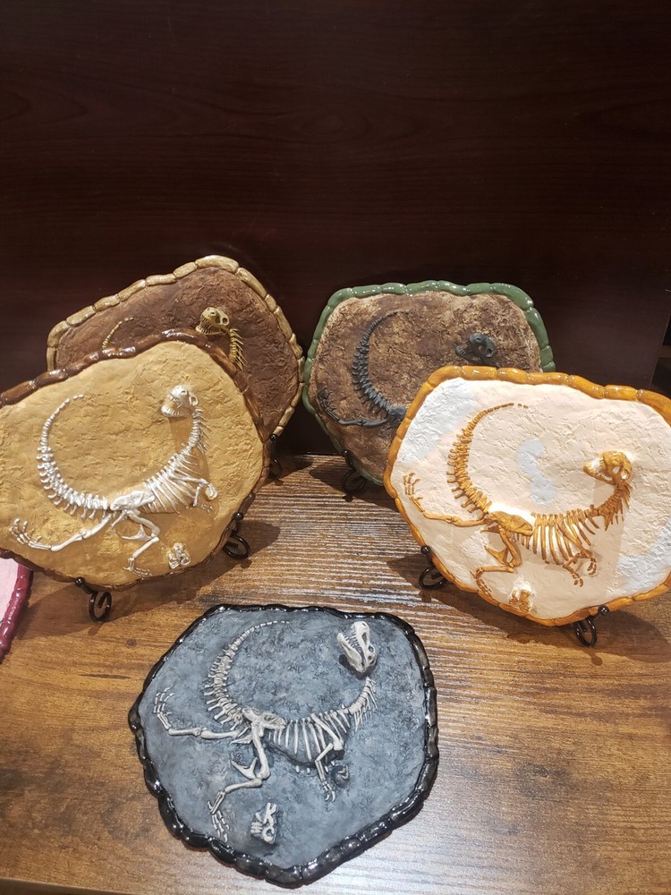 T-Rex Dinosaur fossil display