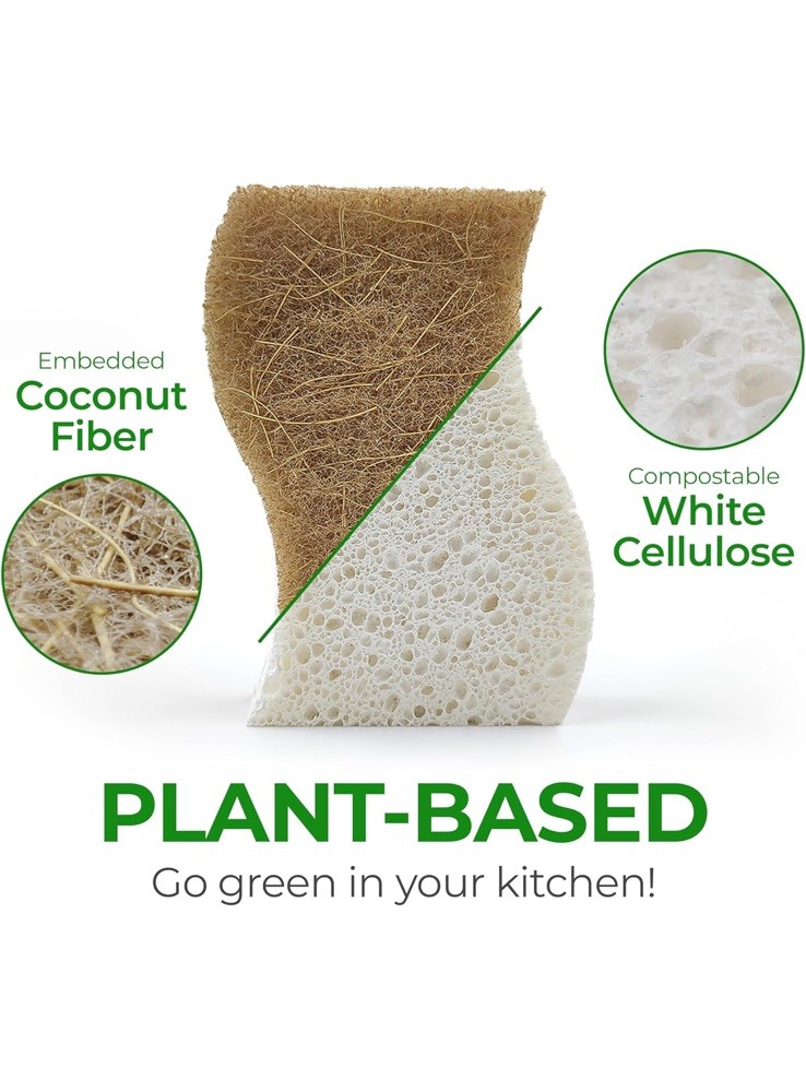 AIRNEX Natural Kitchen Sponge - Biodegradable Compostable 12 pack