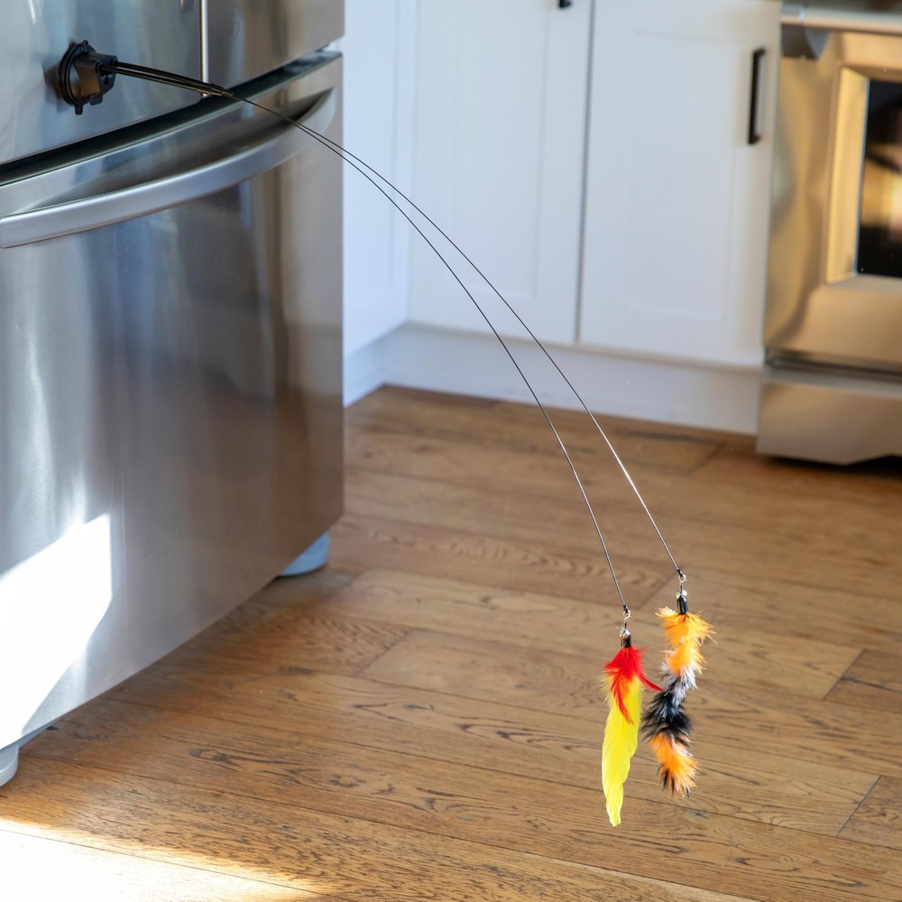 2 Cat Toy + 9 Feather Lures Interactive Toys For Pounce Ultimate Bundle