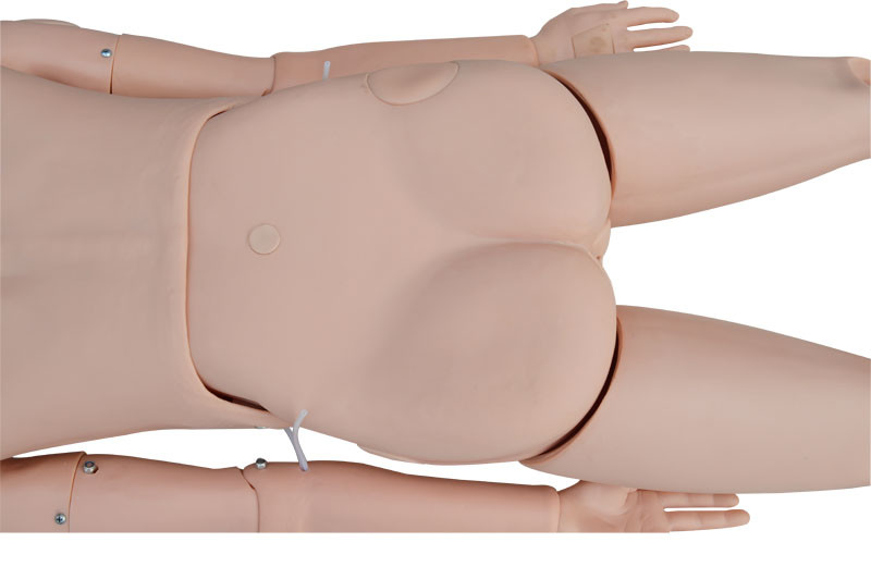 Patient Care Manikin Model Advanced Multifunctional Study Training Mannequin