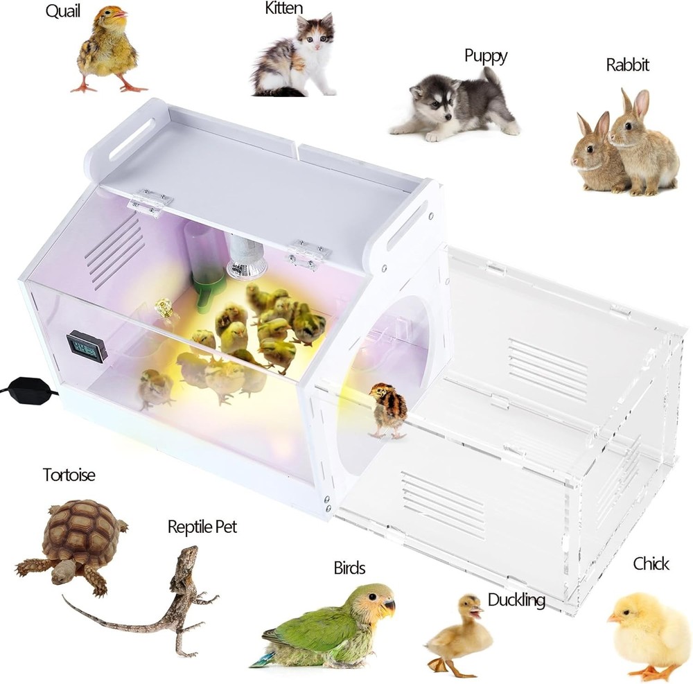 Iarge-Scale Chick brooder Box Quail Cage Egg Incubator Chick Starter Kit Chic...
