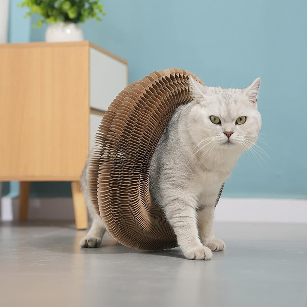 Kitty Curls Cat Toy Kurlz Interactive Scratch Pad Foldable AccordionRecyclabl
