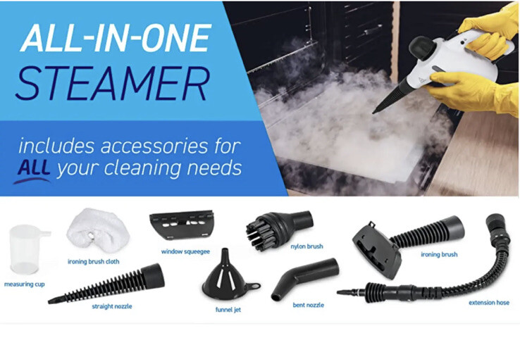 Bed Bug Steamer Killer Non Toxic Effectively Kills Bugs & Their Eggs Dead WORKS!