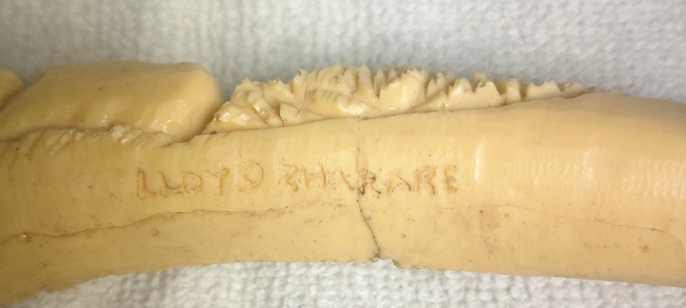 WARTHOG TUSK Resin Carving Replica SIGNED