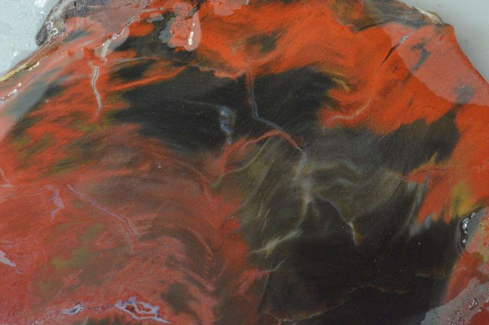 Petrified Wood, Circle Cliffs, Utah, 150 grams