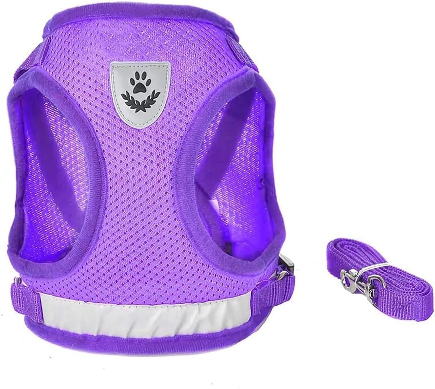 Dog Harness & Leash Set Walking Soft Mesh Adjustable Easy Control Lightweight