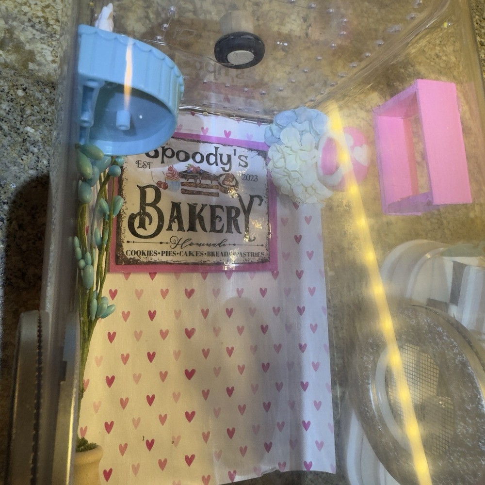 Jumping Spider Enclosure Bakery Themed Handmade