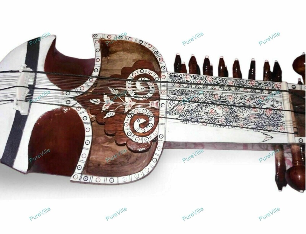 Class West Rajasthani Musical String Sindhi Saranda Instrument Saranda