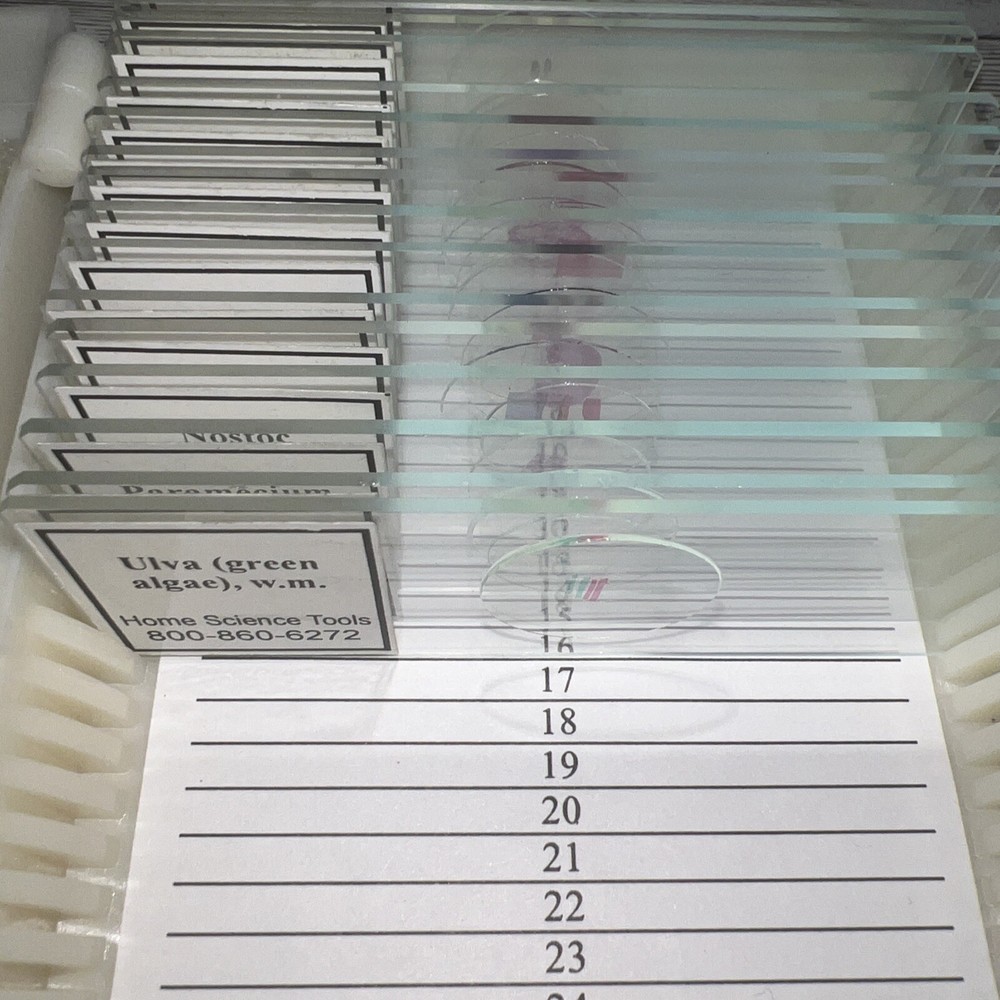 Home Science Tools Slide Set Alpha Omega Biology Set & Basic Slide Set