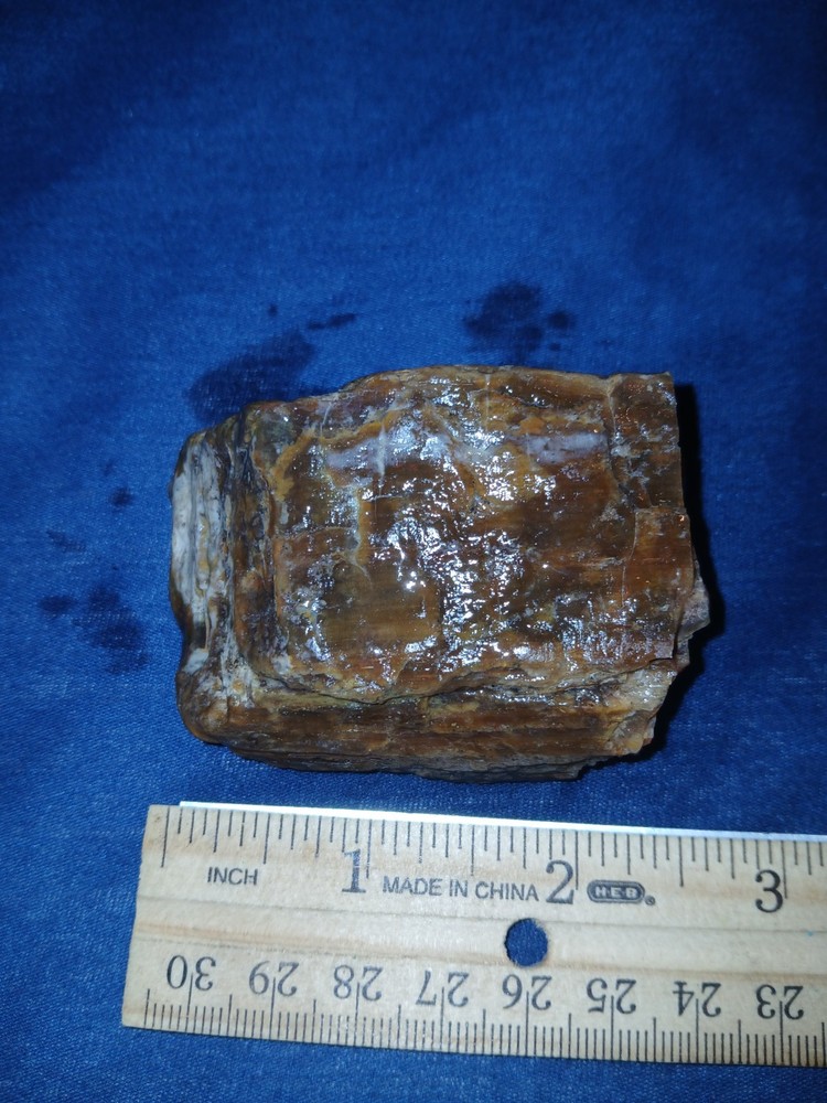 4.5 oz Agatized Petrified Wood