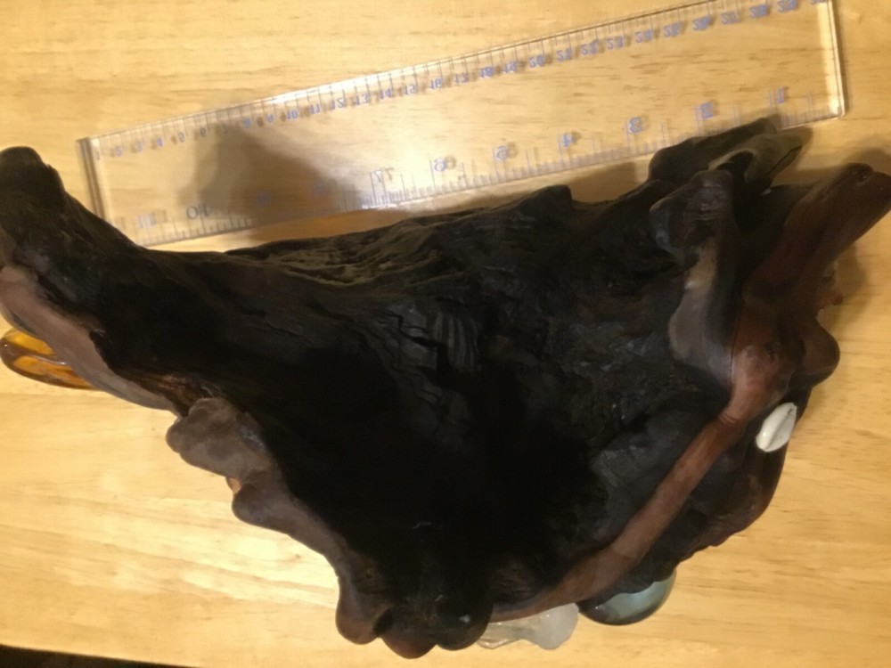 Petrified wood.With. Gems