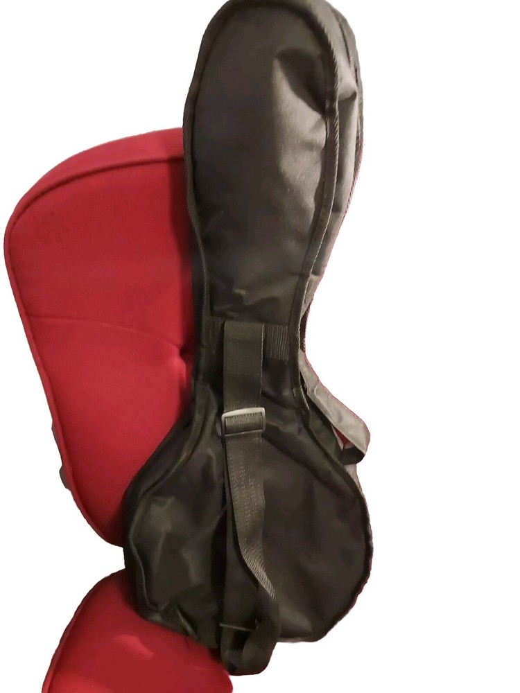Glen Burton 27" Padded Soft Instrument Case