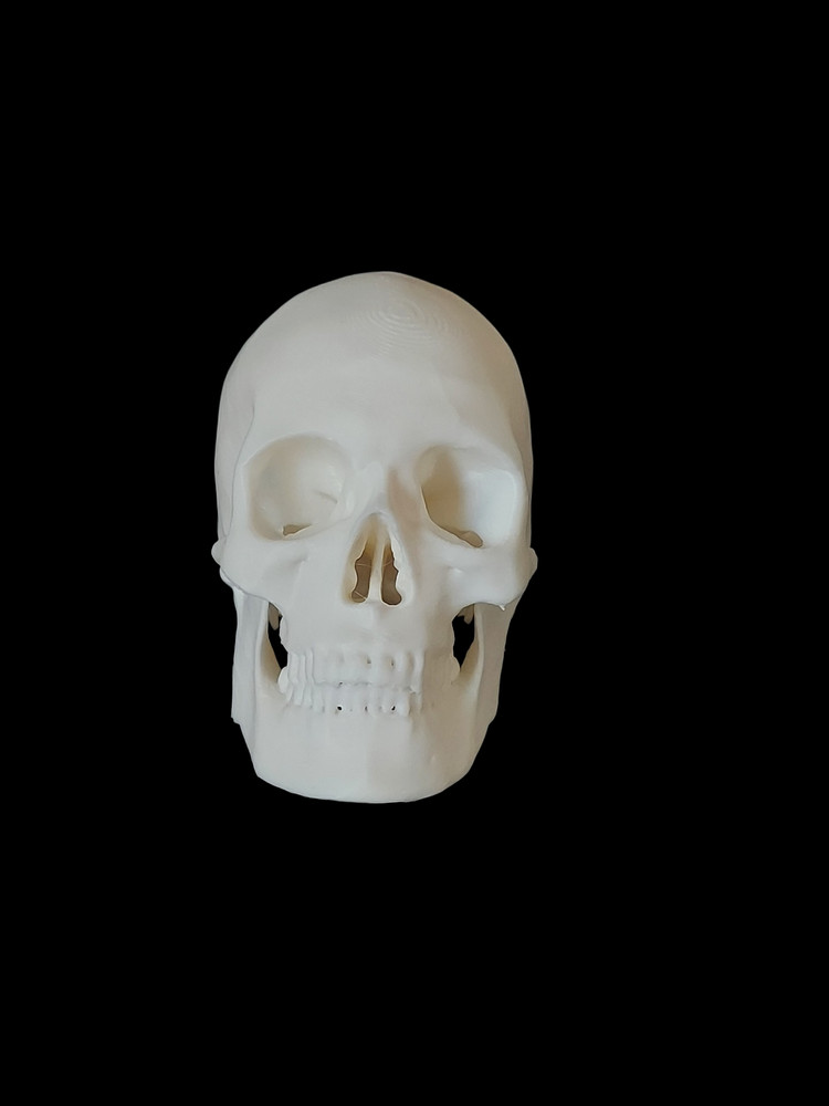 Mini Human Skull Replica – 3D Printed Bone Color Model – Realistic Gothic Decor