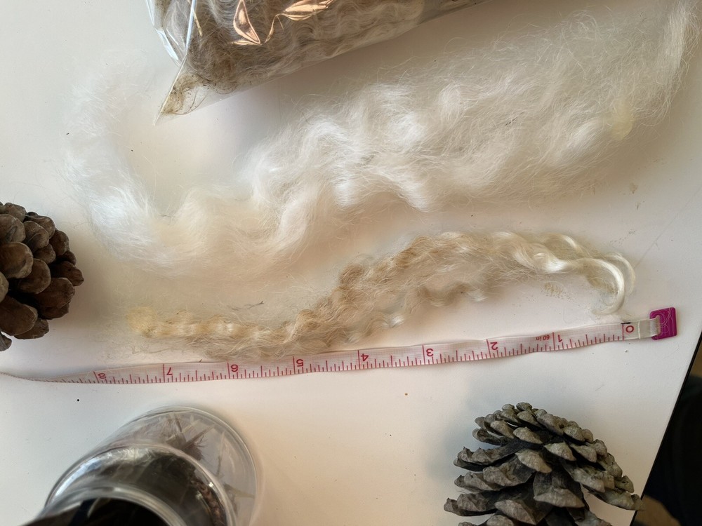 Cotswold Wool Locks