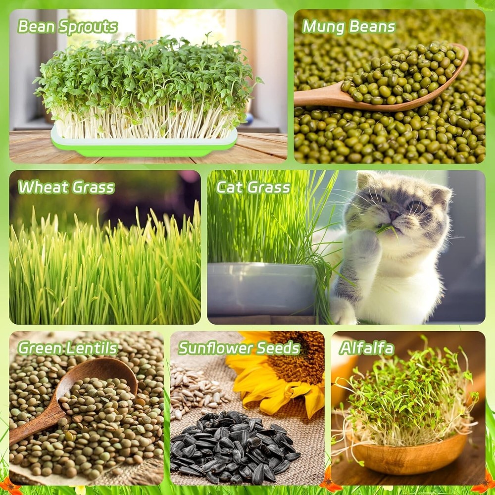 Compact 16 Trays Microgreens Sprouting System with Planting Paper Included