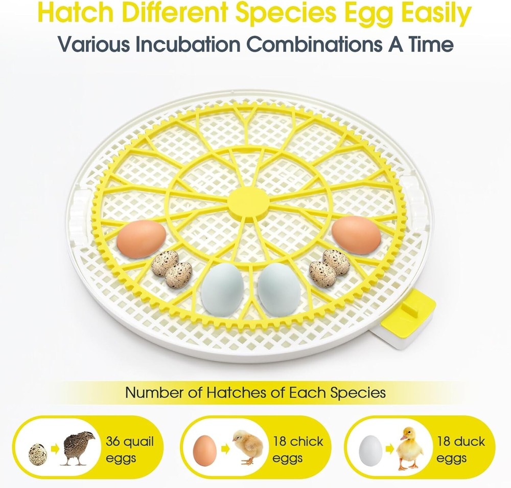 18 Egg Poultry Incubator for Hatching Chick Automatic Turning Egg Incubator⚡