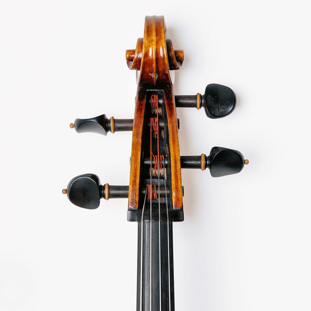 Thomastik-Infeld Peter Infeld Cello D-String - Flexible with Medium Tension 14