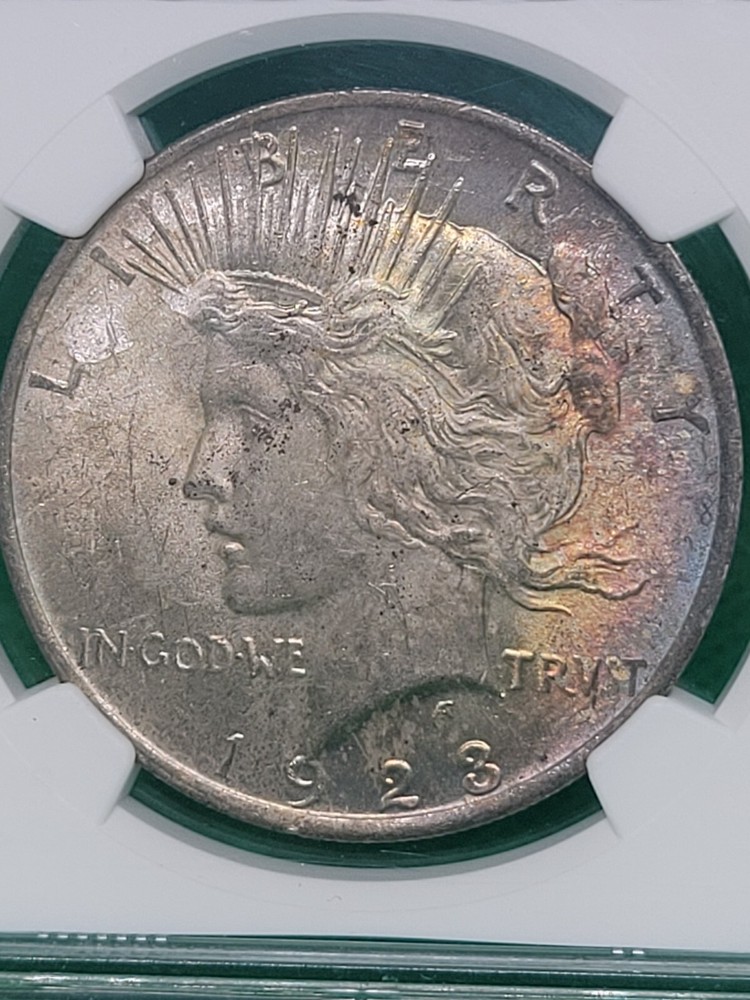 1923 $1 Peace Dollar NGC MS63 Toned