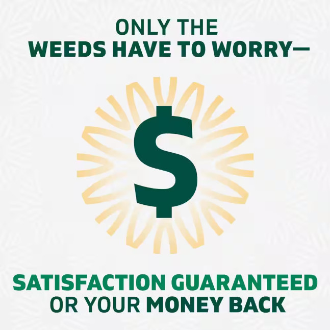 10 oz. EZ Aim Spray Weed and Grass Killer