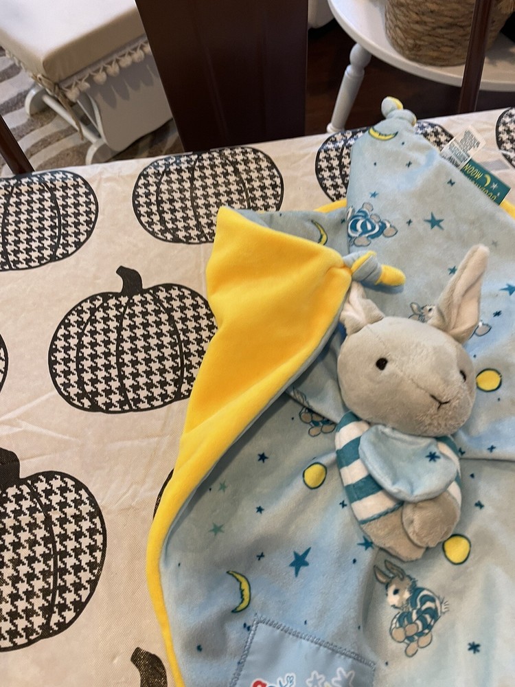 Good Night Moon Crinkle Book And Blankey
