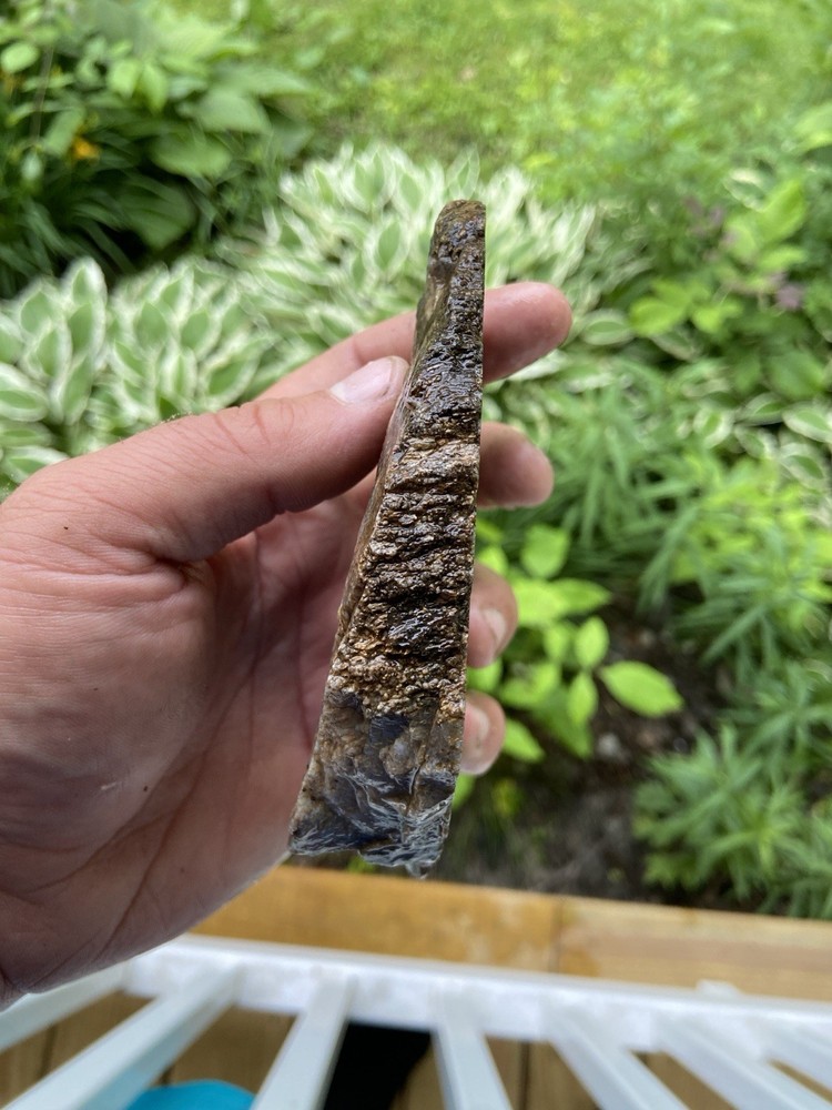 Large Cells Dino Bone Slab Very Thick 13 Oz