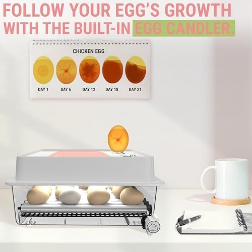 Incubators for Hatching Eggs, Egg Incubator with Automatic Egg Turning and Humid