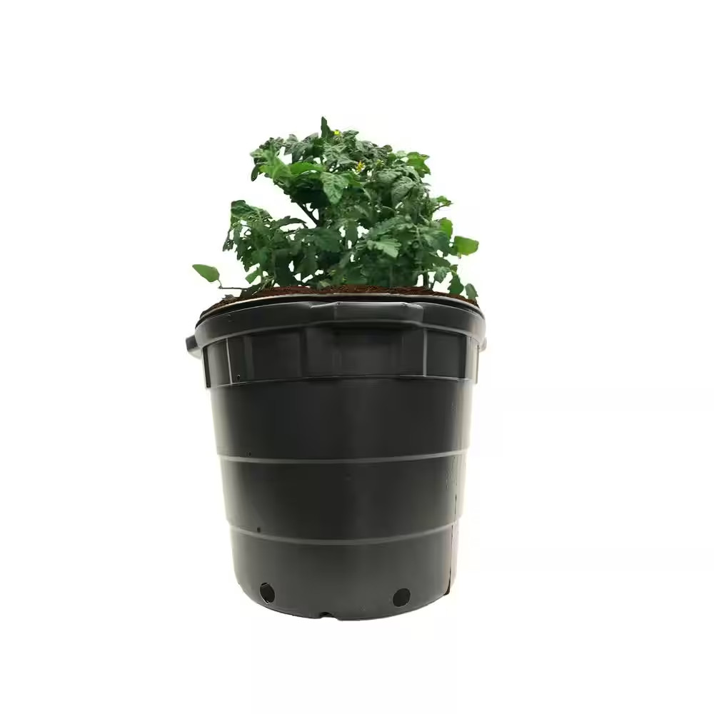 10 Gal. round Plastic Nursery Pots (20-Pack)
