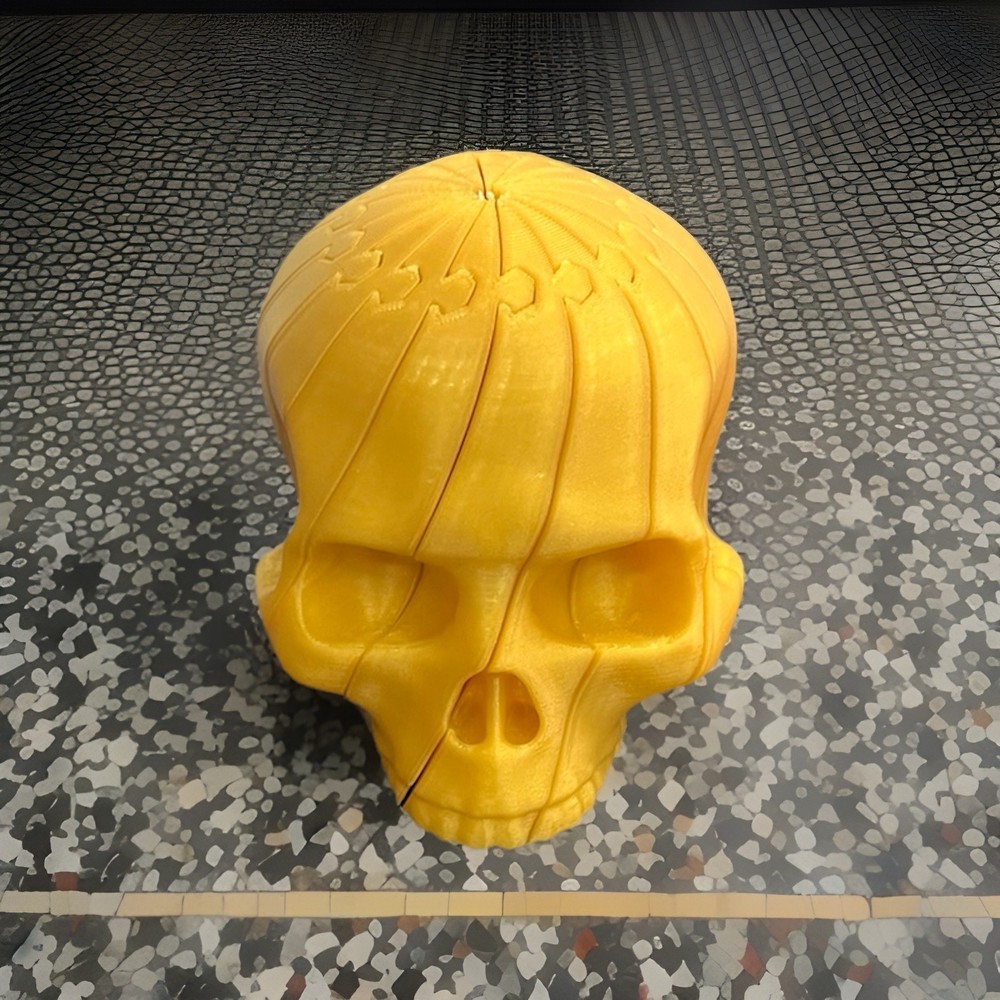 3D printed Articulated Skull