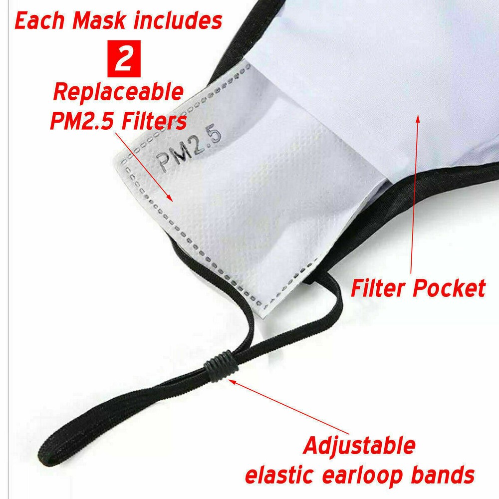 Face Mask with PM2.5 Filters