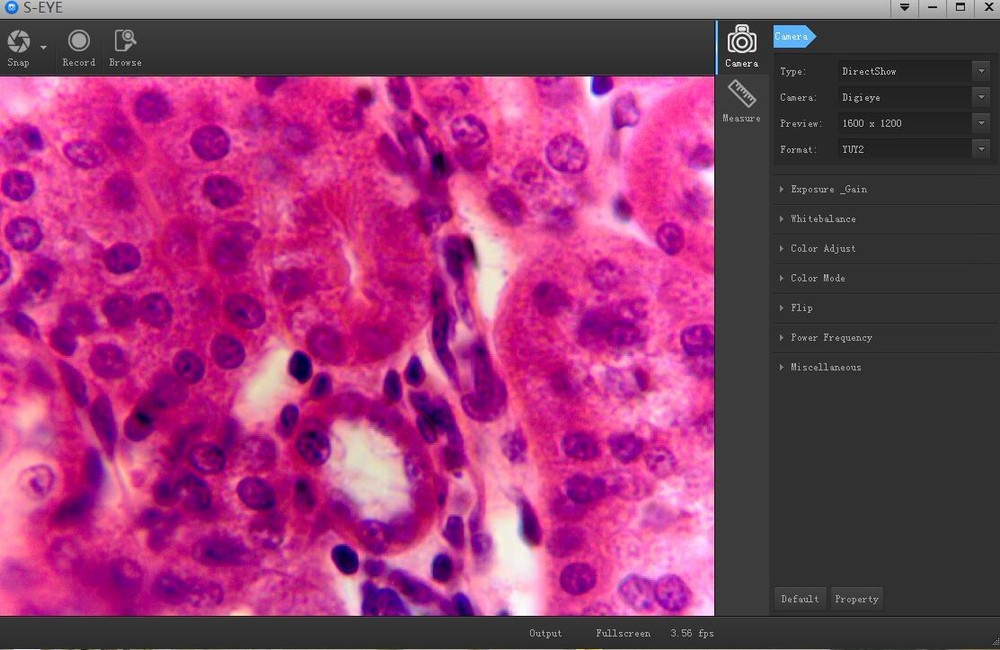 HD 2.0MP USB Microscope Digital Camera Electronic Eyepiece W/ Ring Adapters