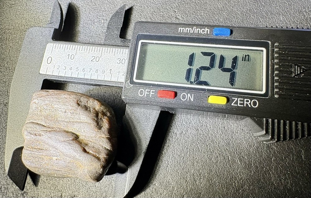1 oz Petrified Wood