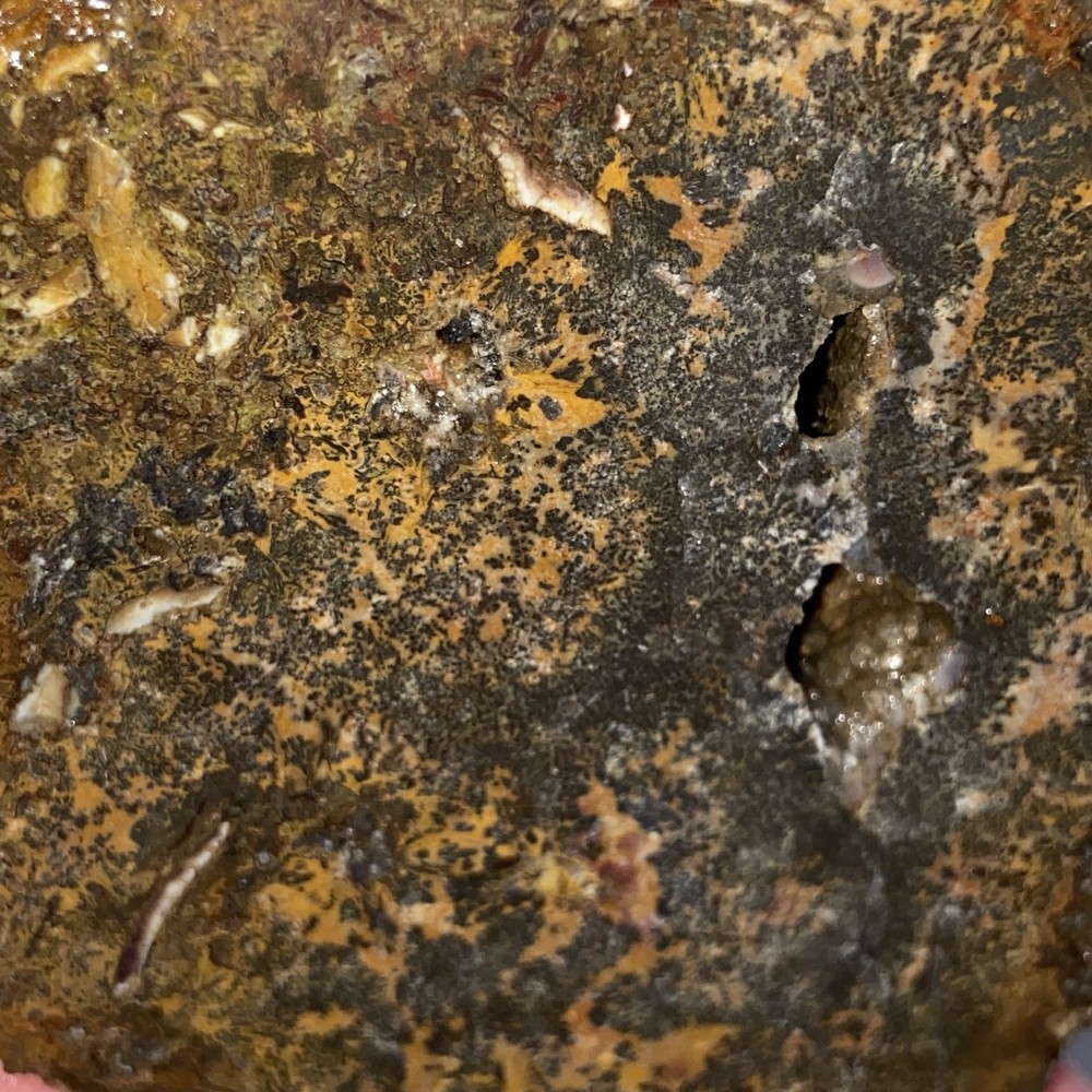 Orange Dendritic Agate Rough Lapidary Half 10.74 Oz