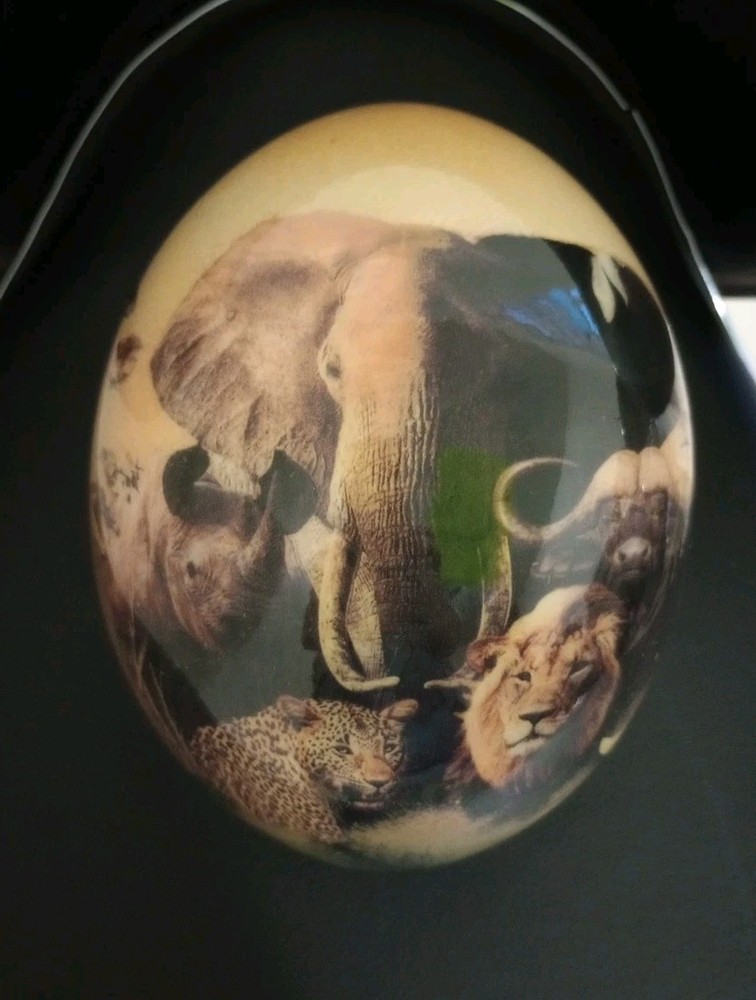 African Big Five Decoupage  Ostrich Egg Hand Painted