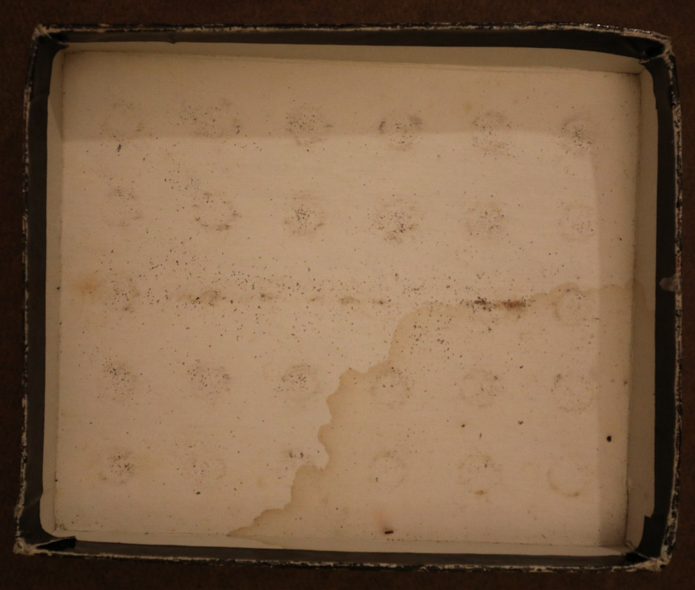 Craftool 8130 Alphabet 1/2"