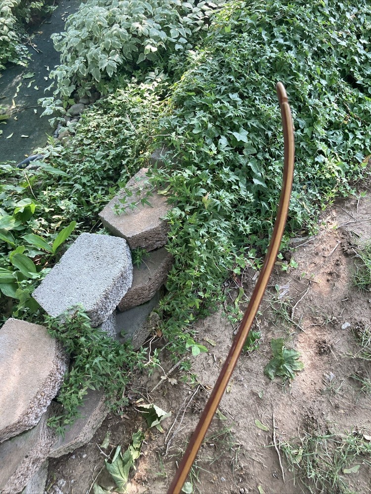 Bear Polar Recurve Bow 50# 64” Dual Shelf