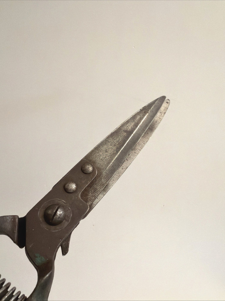 Garden / Grass Shears Vintage 12" Coil Spring Sharp! Nice Old Tool!