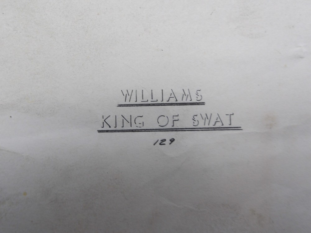 Williams: King of Swat - Schematic