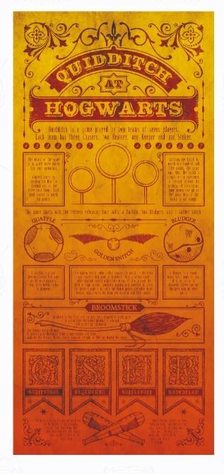 Harry Potter Limited Edition Quidditch Art Print