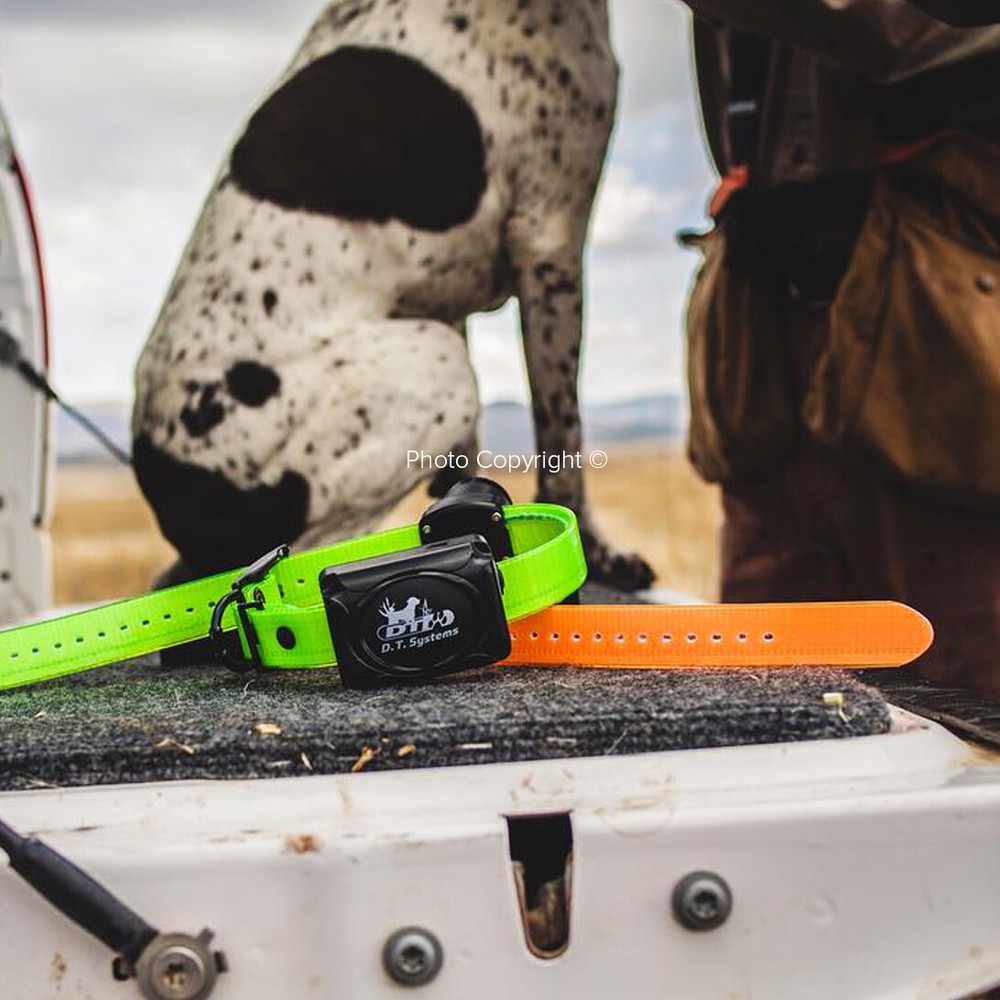 DT Systems H2O 1850 PLUS Remote Dog Trainer Beeper