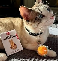 Kikkerland New Cat Welcome Kit